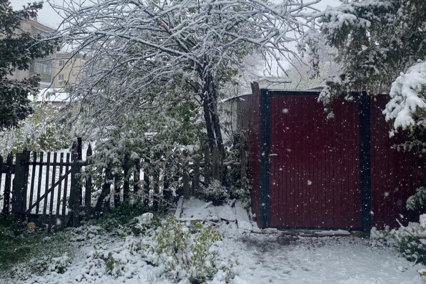 В Катайске вновь выпал снег